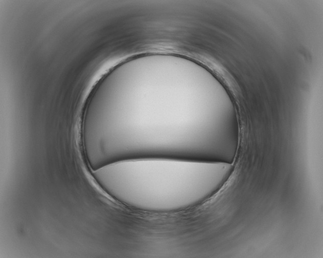 X0000112901432200908211506