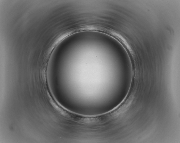 X0000112901433200908211506