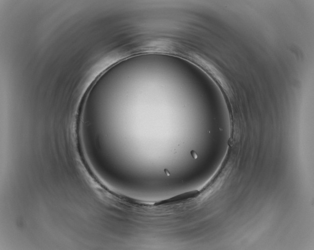 X0000112901434200908211506