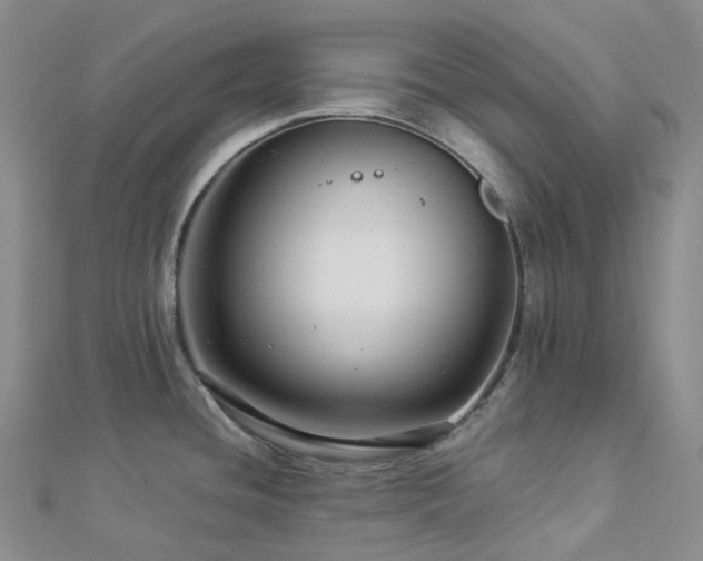 X0000112901436200908211506