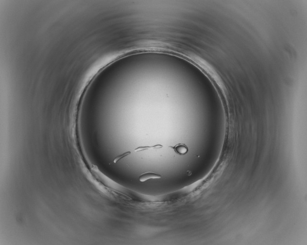 X0000112901437200908211506