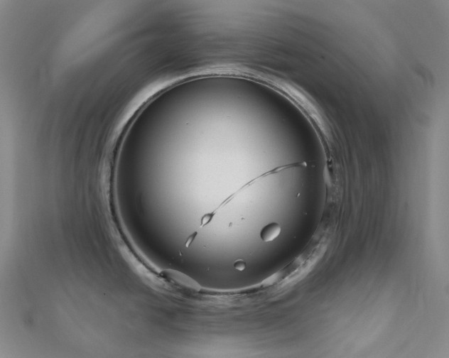 X0000112901438200908211506