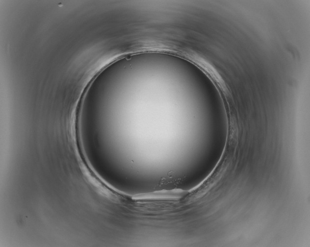 X0000112901439200908211506