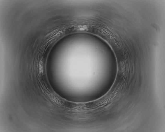 X0000112901442200908211505