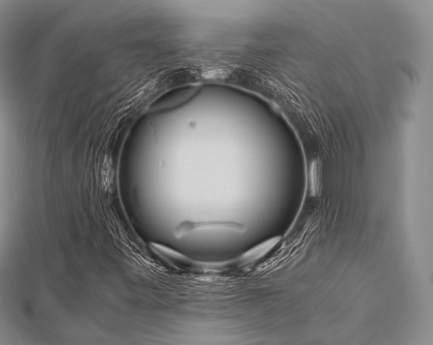 X0000112901443200908211505