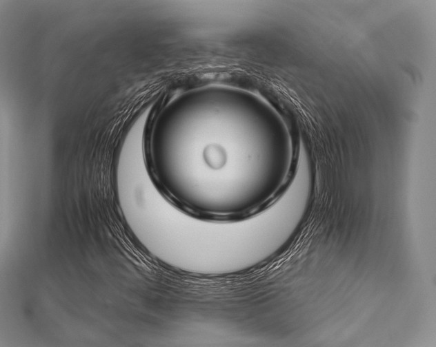 X0000112901444200908211505