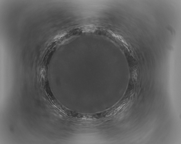X0000112901445200908211505