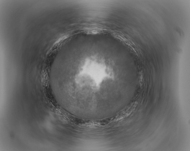 X0000112901446200908211505