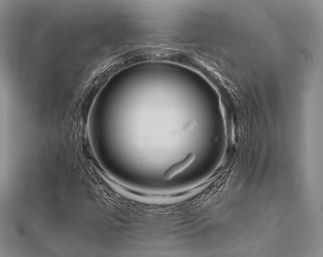 X0000112901447200908211505