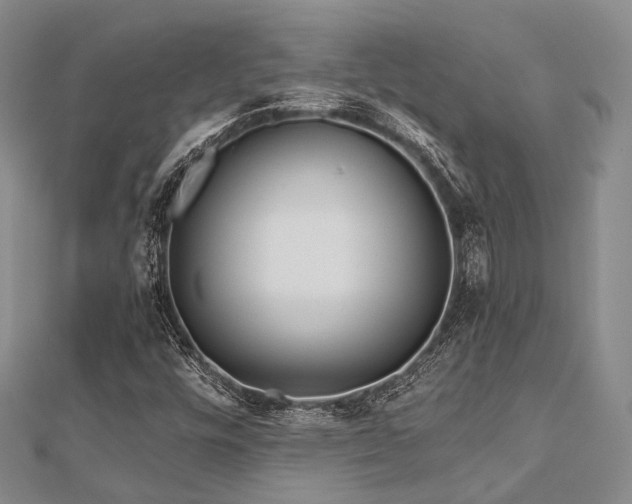 X0000112901448200908211505