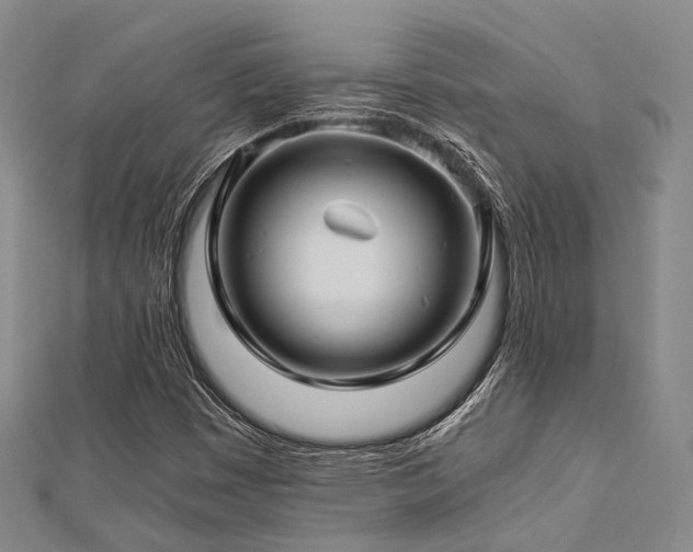 X0000112901449200908211505