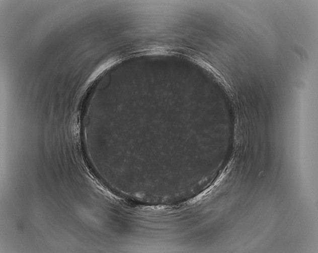 X0000112901450200908211505