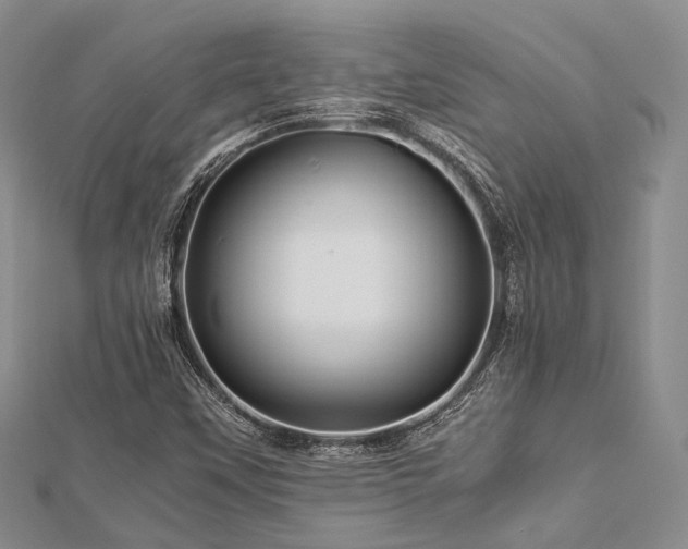 X0000112901451200908211505