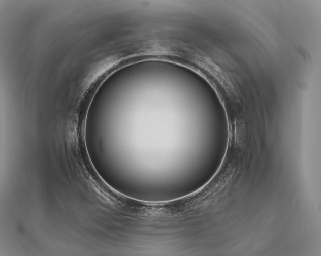 X0000112901452200908211505