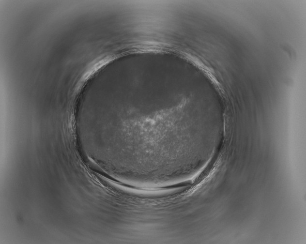 X0000112901453200908211505
