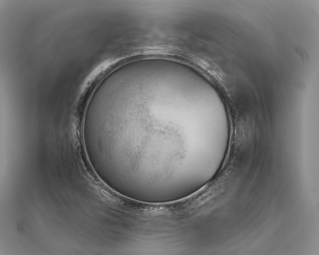 X0000112901454200908211505