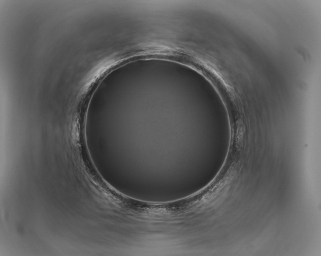 X0000112901455200908211505