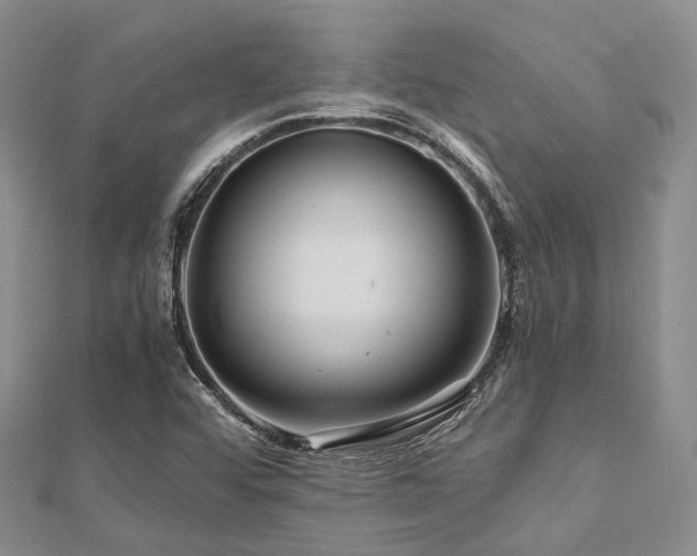 X0000112901456200908211505