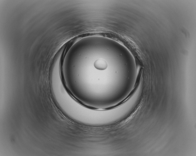 X0000112901457200908211505