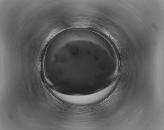 X0000112901459200908211505