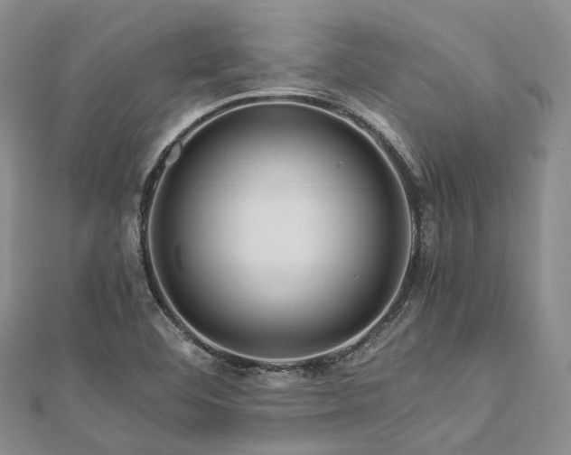 X0000112901460200908211505