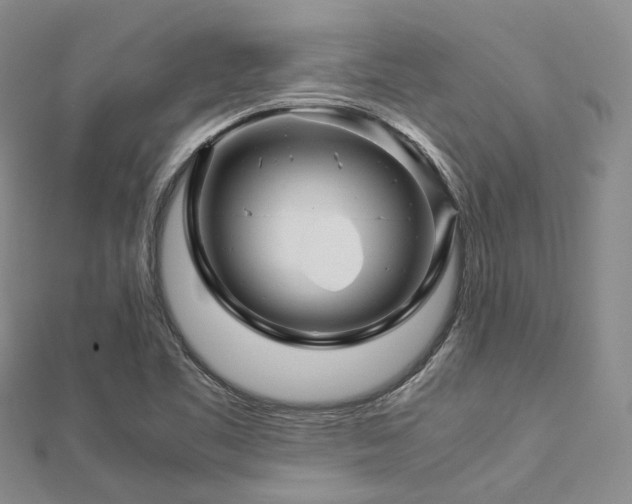 X0000112901461200908211505