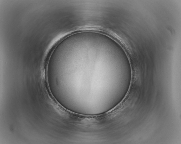 X0000112901462200908211505