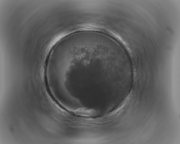 X0000112901463200908211505