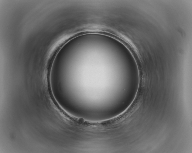 X0000112901464200908211505