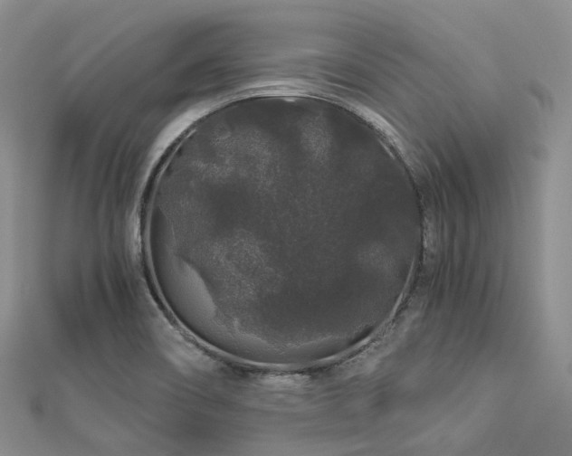 X0000112901466200908211505