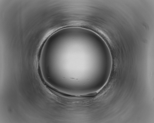 X0000112901467200908211505