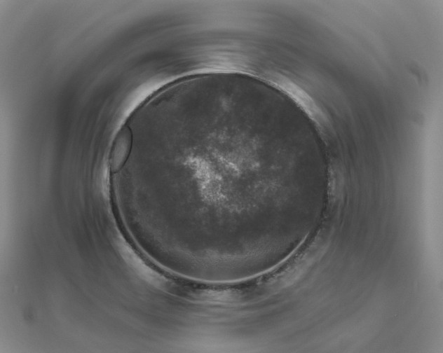 X0000112901468200908211505