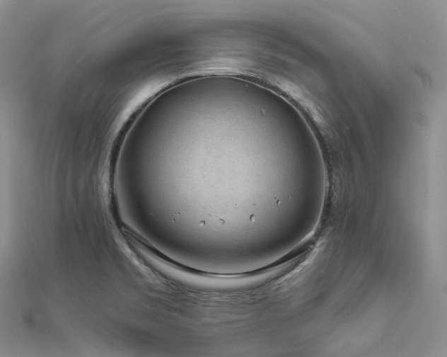 X0000112901469200908211505