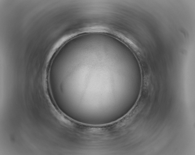 X0000112901470200908211505