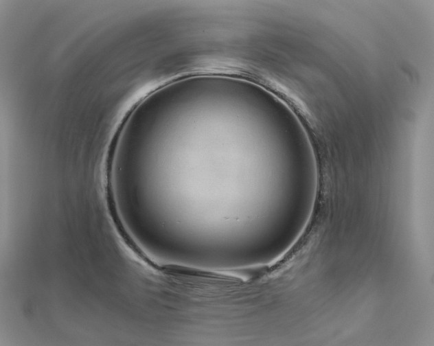 X0000112901471200908211505