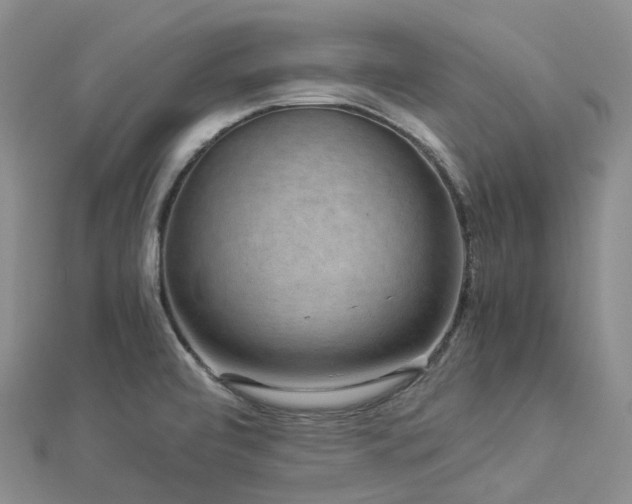 X0000112901472200908211505