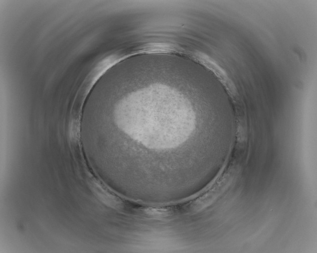 X0000112901473200908211505
