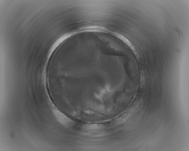 X0000112901474200908211505