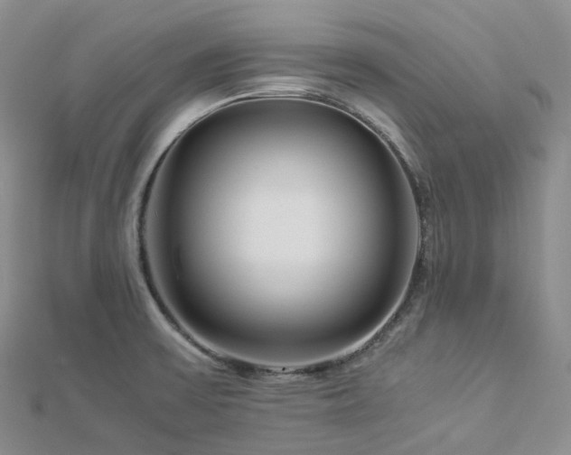 X0000112901475200908211505