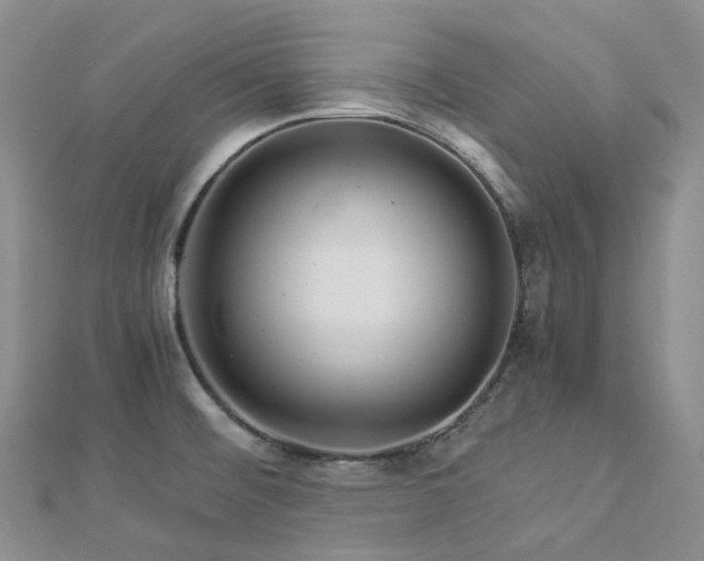 X0000112901476200908211505