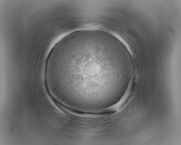 X0000112901477200908211505