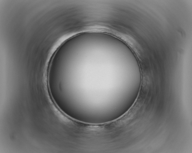 X0000112901478200908211505