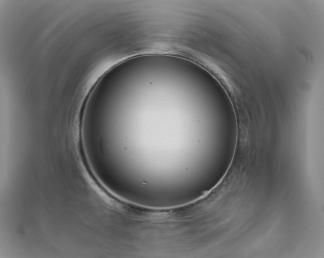 X0000112901479200908211505