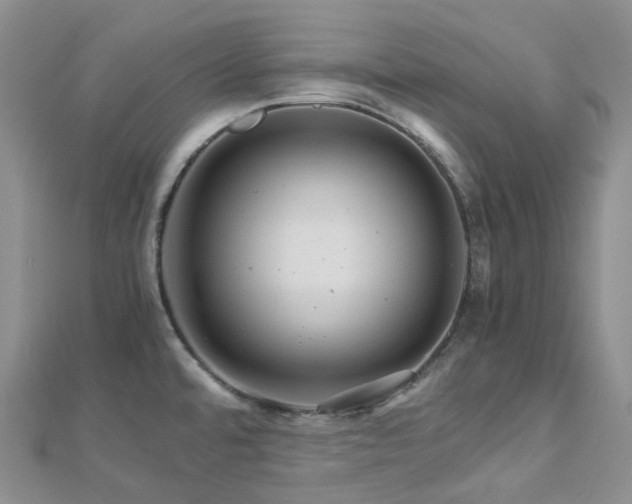 X0000112901480200908211505