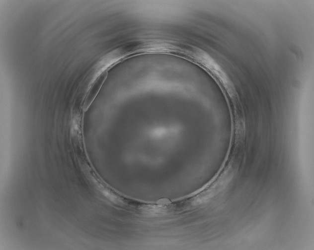 X0000112901481200908211505