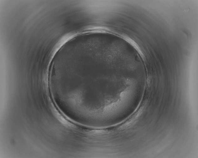 X0000112901482200908211505