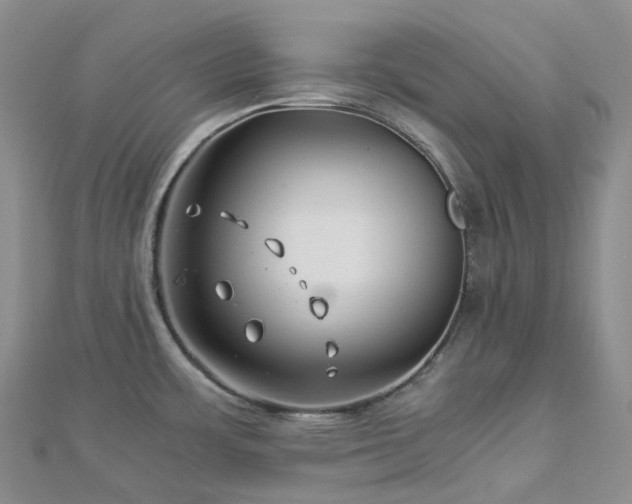 X0000112901483200908211505