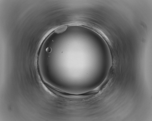 X0000112901484200908211505