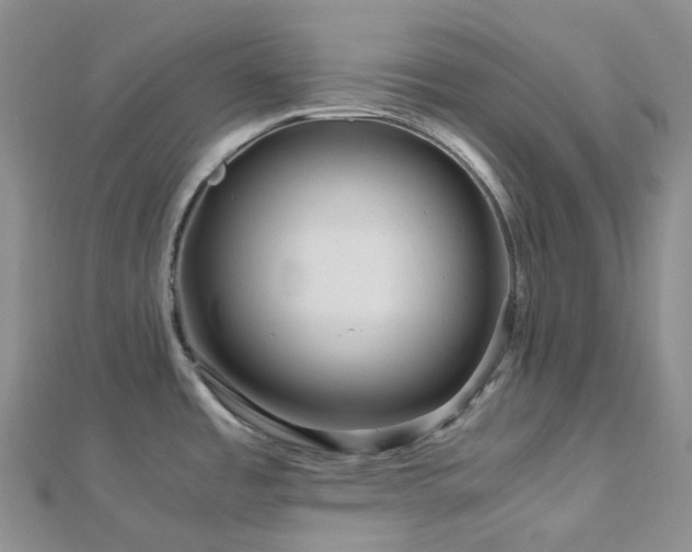 X0000112901485200908211505