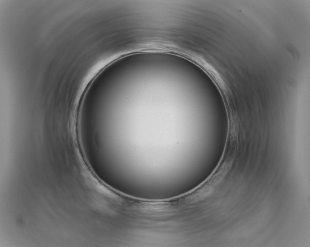X0000112901486200908211505